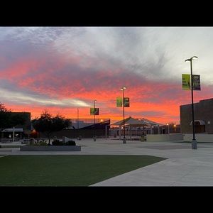 Meet your Posher, Sydney